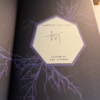 Fairyloot Exclusive Shatter Me Series, All Books 1-7 all Signed by Tahereh Mafi - Image 16
