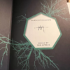Fairyloot Exclusive Shatter Me Series, All Books 1-7 all Signed by Tahereh Mafi - Image 17
