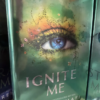 Fairyloot Exclusive Shatter Me Series, All Books 1-7 all Signed by Tahereh Mafi - Image 11